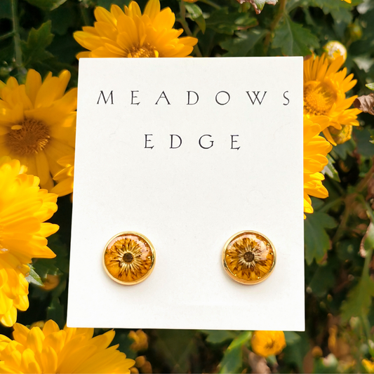 Orange Chrysanthemum Flowers